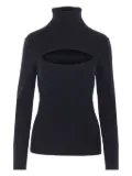 Allude ribbed turtleneck sweater - Black