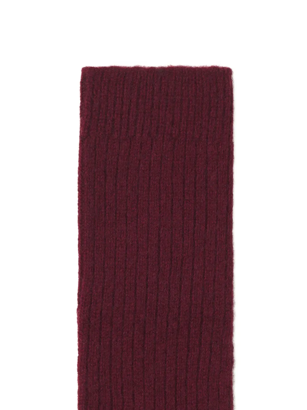 Lanvin Ribgebreide sokken Rood