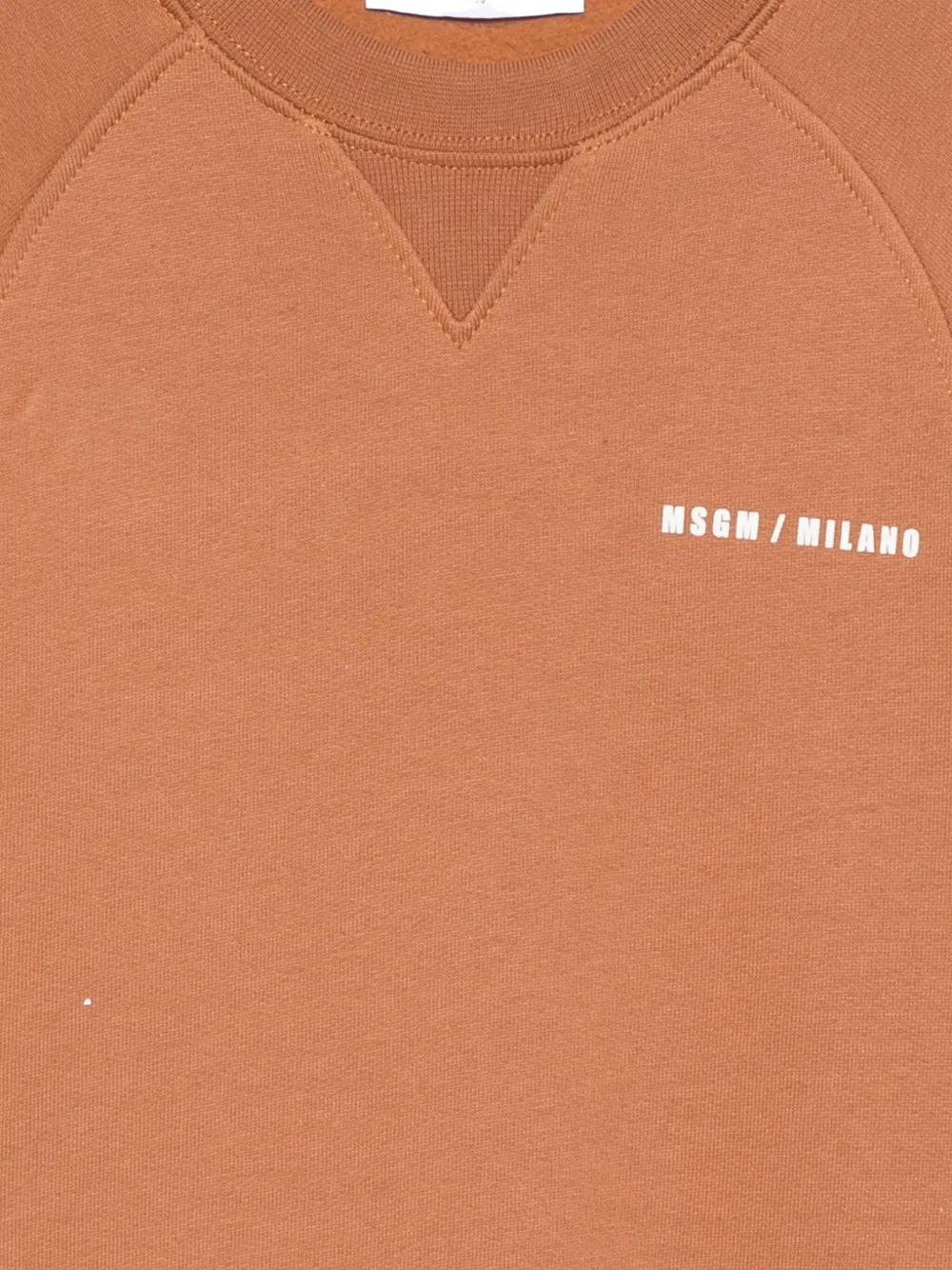 Msgm Raglan-sleeve Logo-print Sweatshirt In Brown