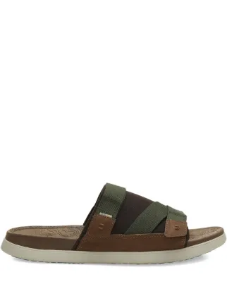 Toms