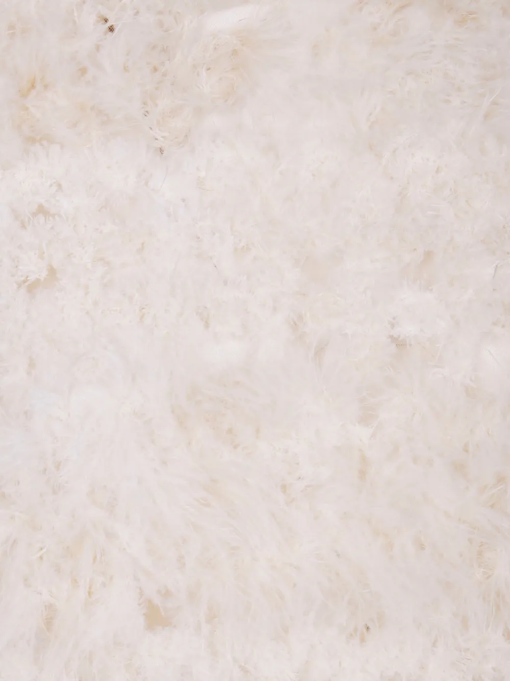 Aviu Feather-trimmed Blouse In Neutral