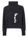 Aviù roll-neck sequin-pocket sweater - Black