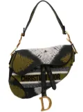 Christian Dior Pre-Owned 2020 Canvas Embroidered Tie Dye Saddle Bag shoulder bag - Green