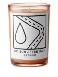 D.S. & Durga Big Sur After Rain candle (200g) - Neutrals