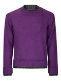 sacai double-ribbed wool knit sweater - Purple