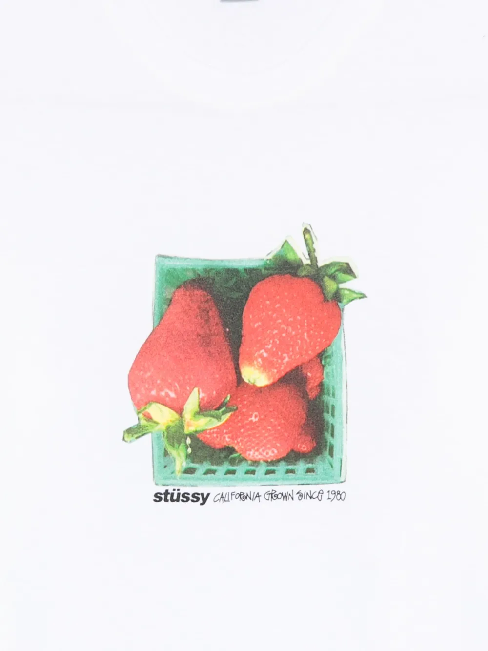 Stüssy Berries T-shirt met grafische print Wit