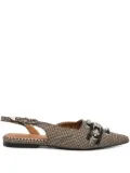 Toga buckle-embellished flat pumps - Brown