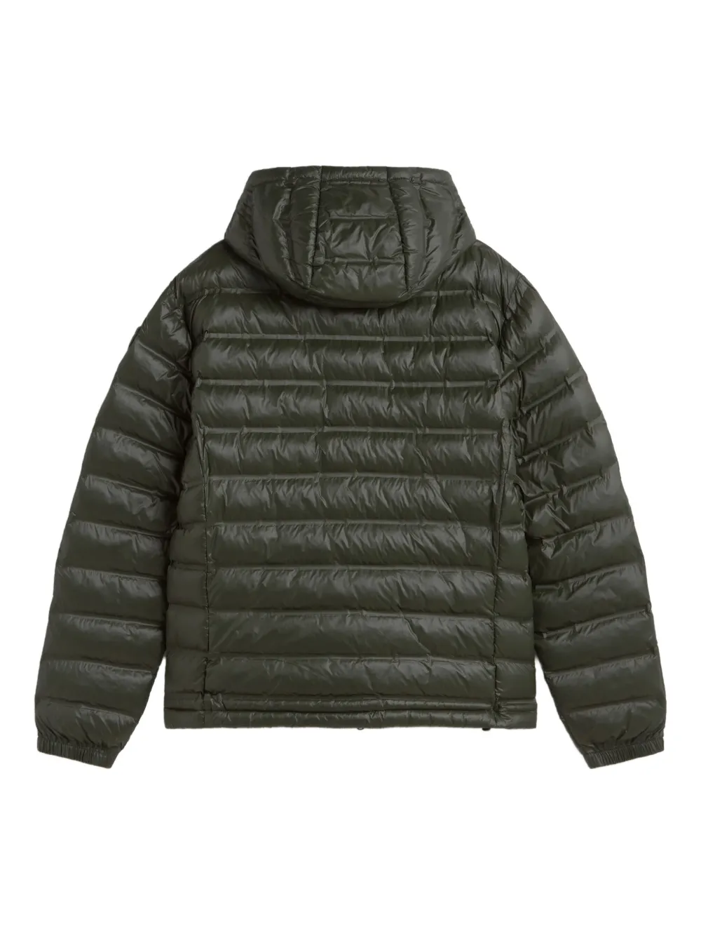 Blauer Gevoerd jack met capuchon Groen