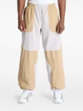 Nike ACG ""Wolf Tree"" Plus pants - Grey