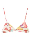 Donde Esteban floral print triangle bikini top - Multicolour
