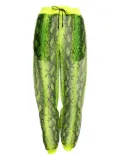Off-White Pre-Owned snake-print track pants - Yellow