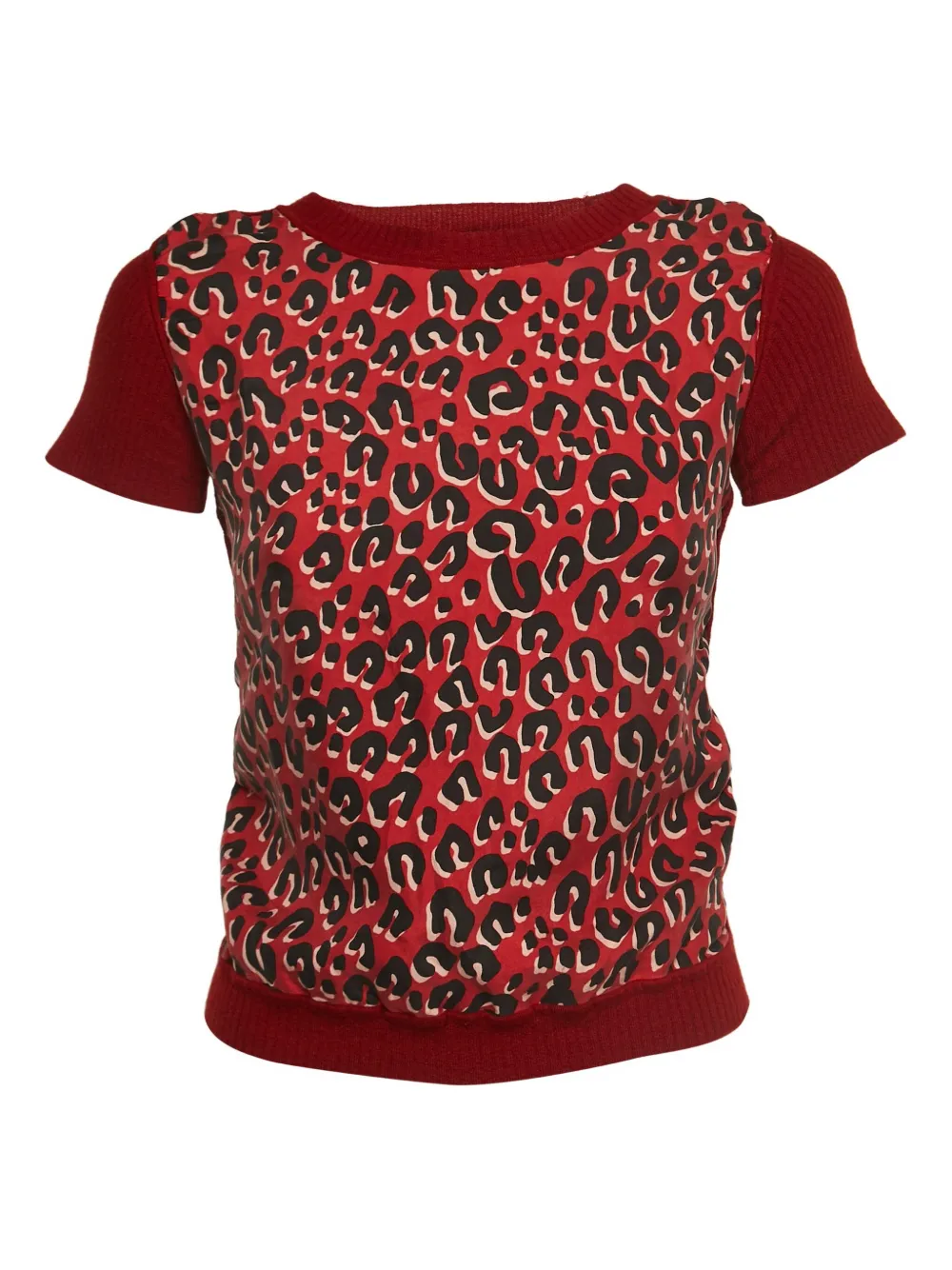 Louis Vuitton Pre-Owned leopard-print rbbed top | Red | Image 1