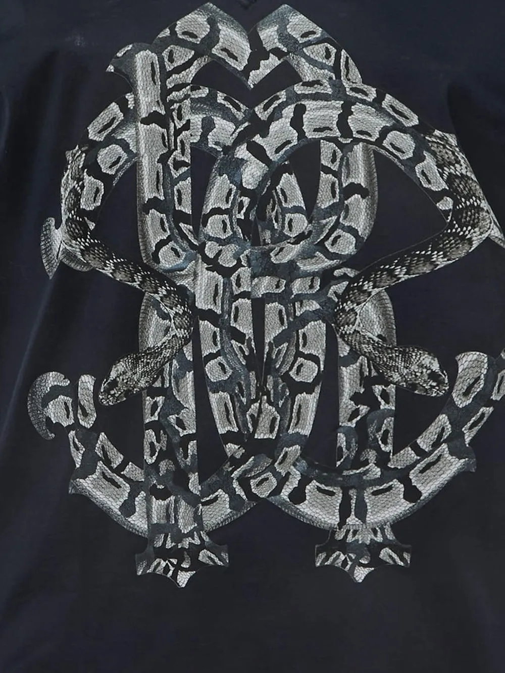 Roberto Cavalli Vintage snake-emblem T-shirt | Image 2
