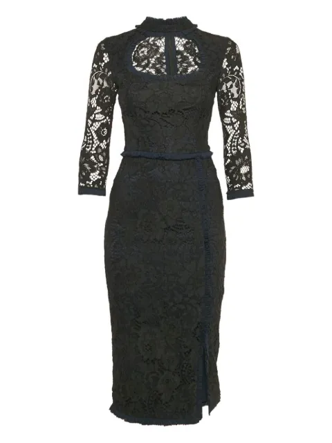 Alexis floral-lace ruffle-detail dress