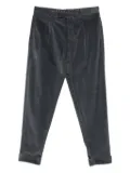 Berwich pleated corduroy trousers - Grey