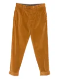 Berwich pleated corduroy trousers - Brown