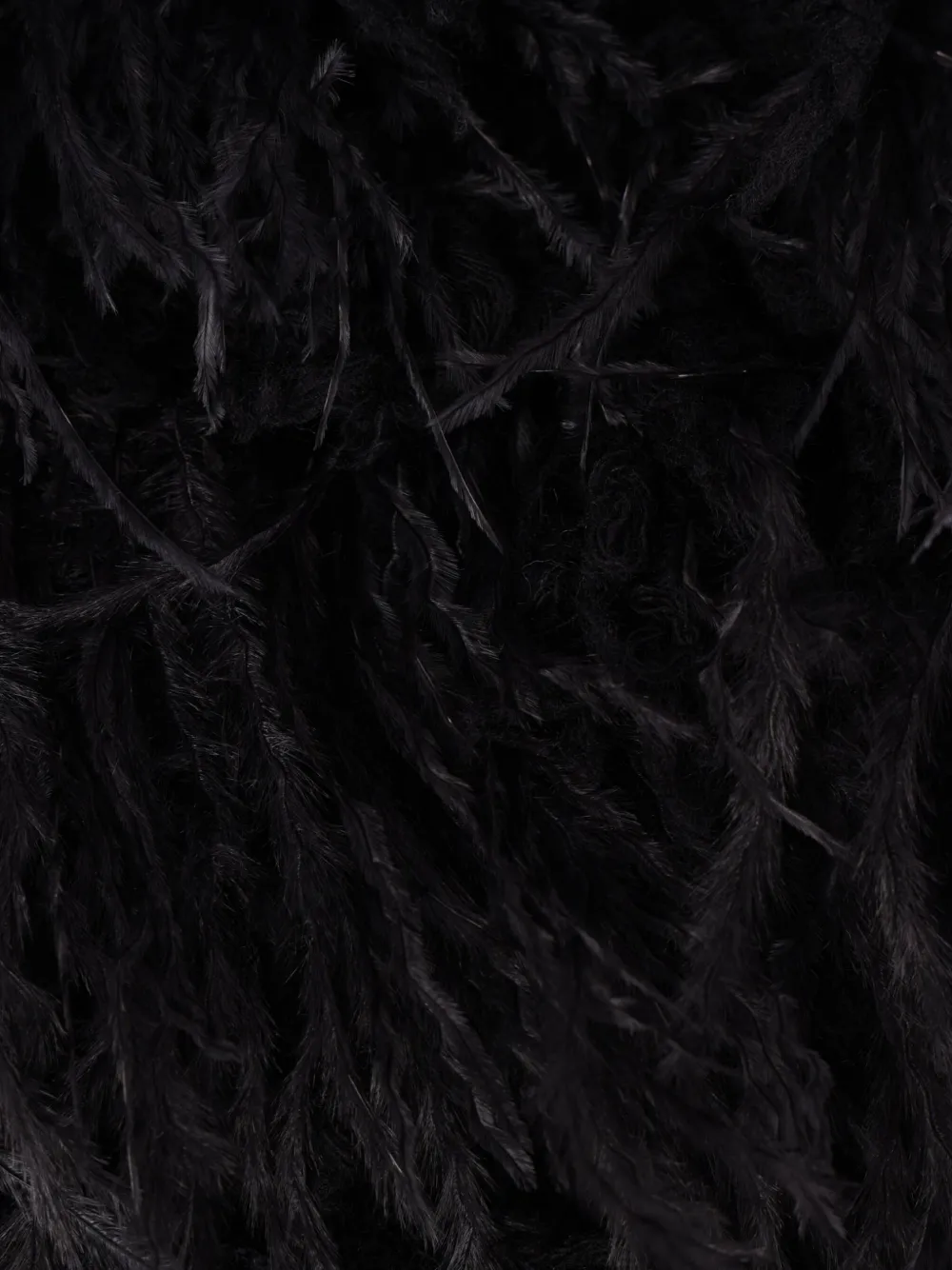 Ann Demeulemeester Feather-trim Jacket In Black