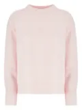 Vanisè wool crew-neck sweater - Pink