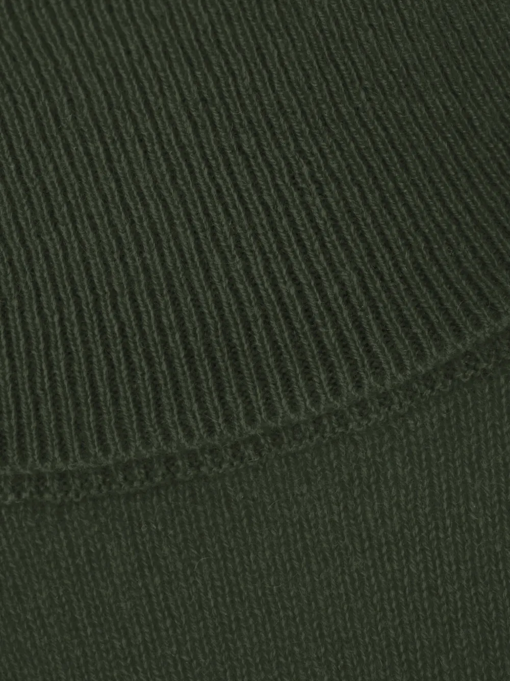 Vanisé Turtleneck Cashmere Sweater In Green