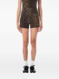 adidas leopard-print striped mini shorts - Brown