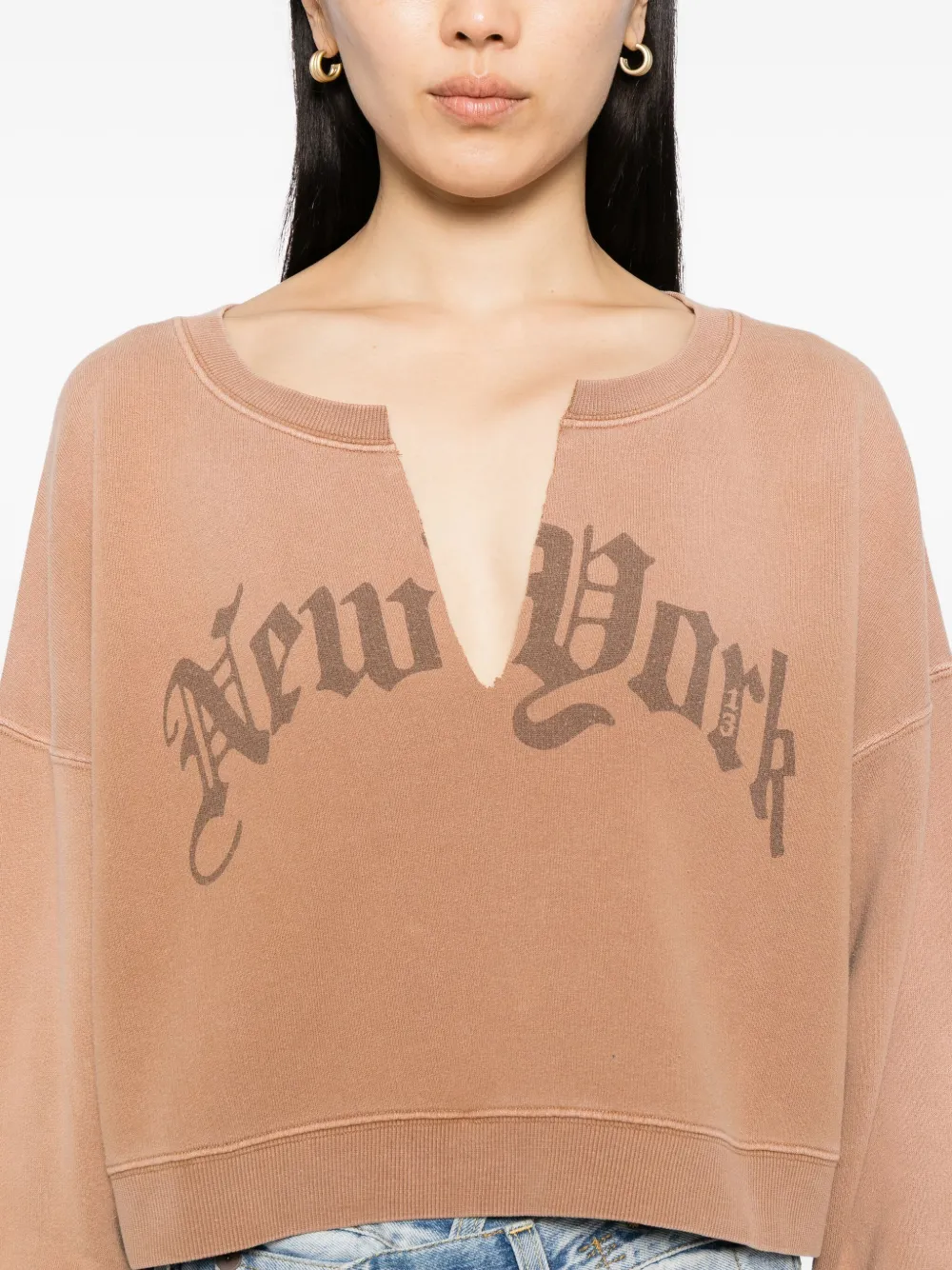 R13 Distressed Sweatshirt In Brown