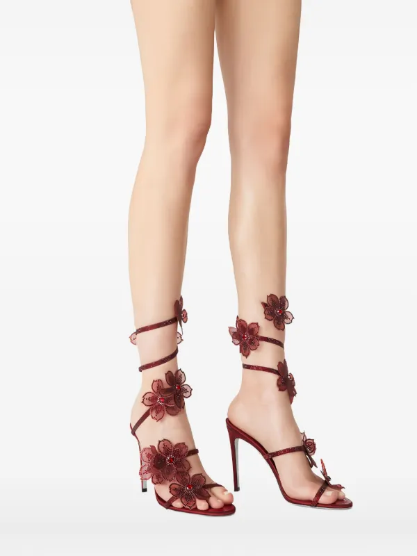 René Caovilla 105mm crystal-flower Embellished Sandals | Red