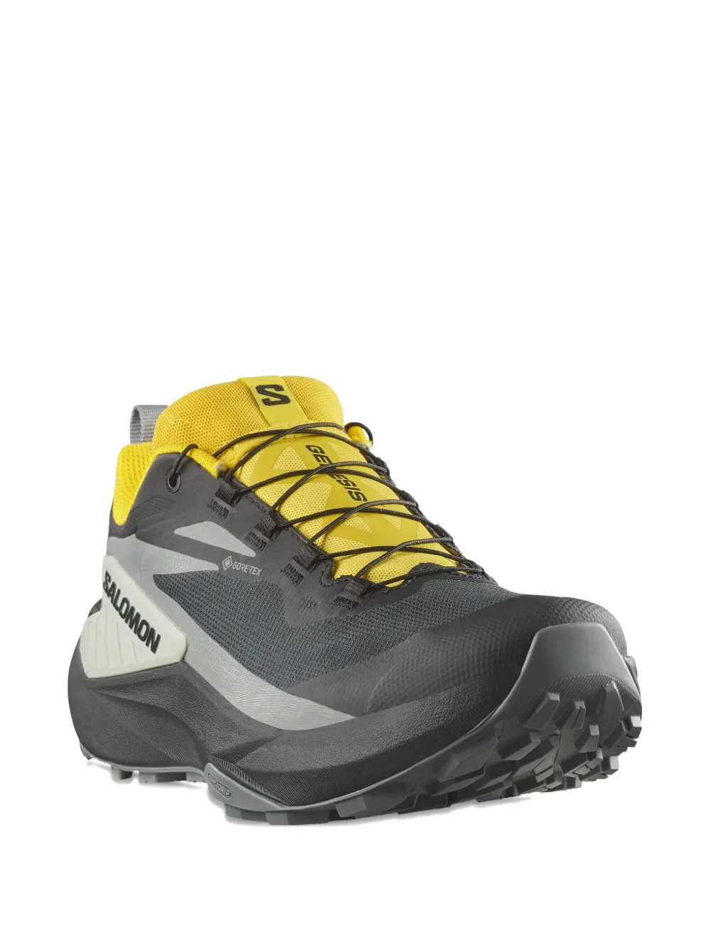 Salomon Gore-Tex trail sneakers Black
