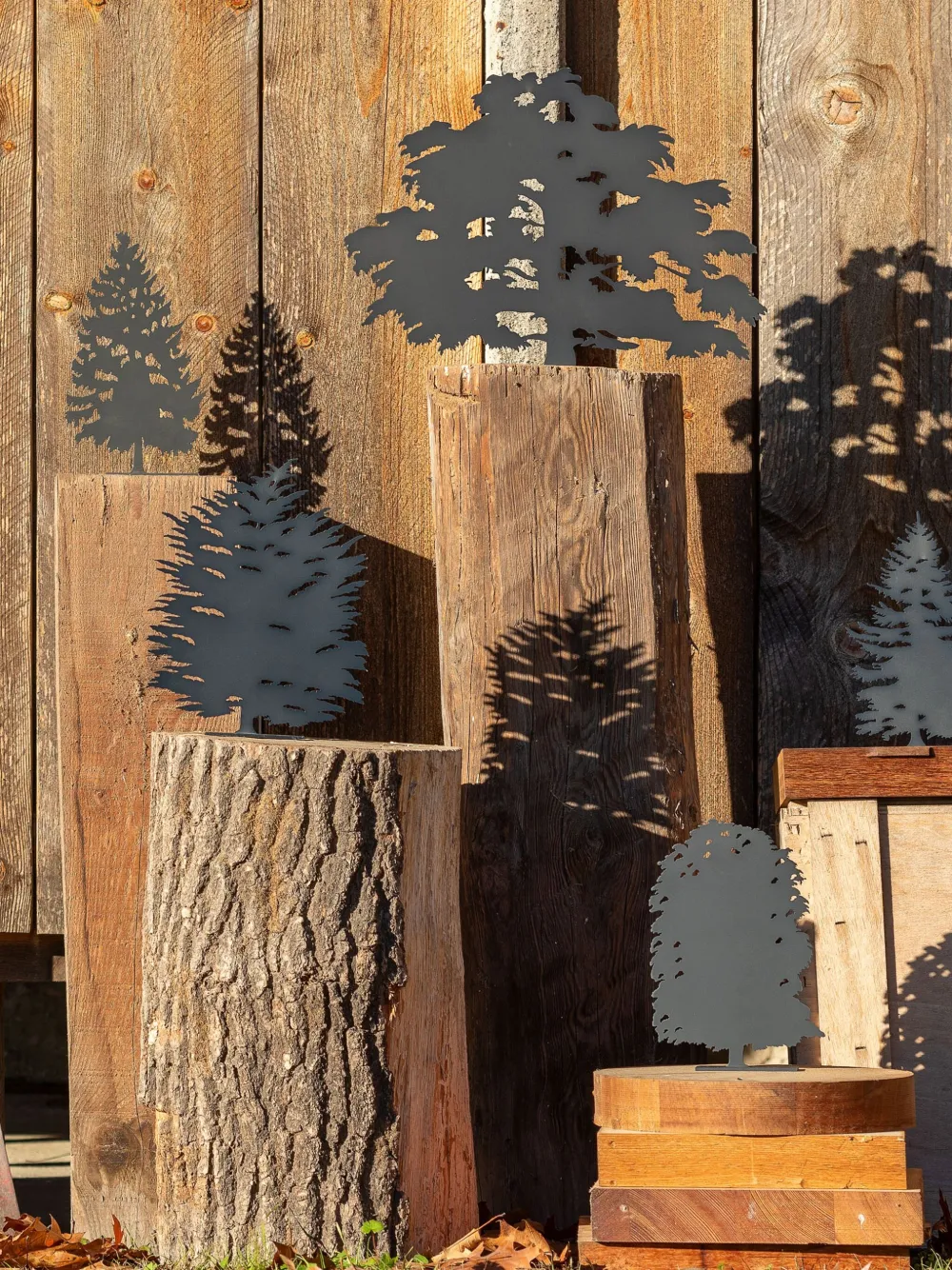 Produzione Privata Fagus Sculpture (28cm X 22cm) In Black