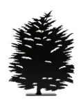 Produzione Privata Fagus sculpture (28cm x 22cm) - Black