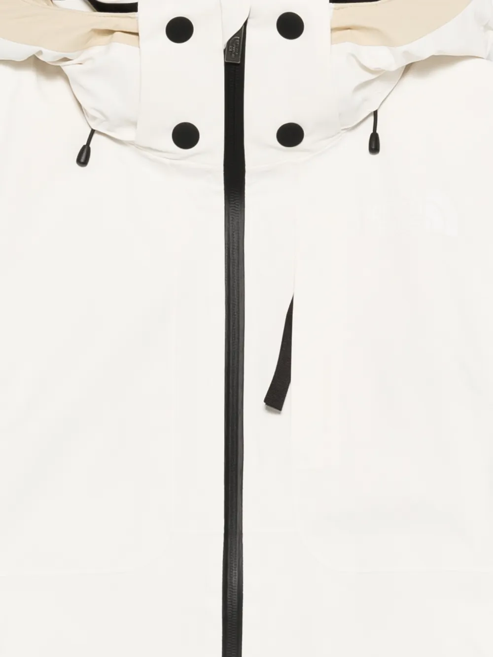 The North Face Lenado Hooded Ski Jacket In Multi