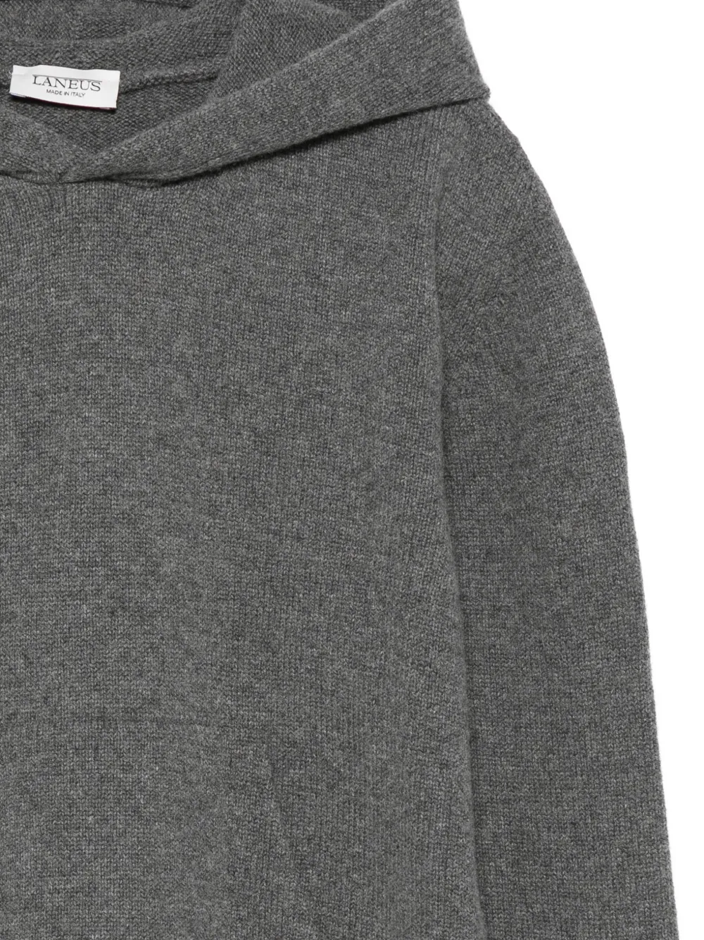 Laneus Hoodie met capuchon Grijs