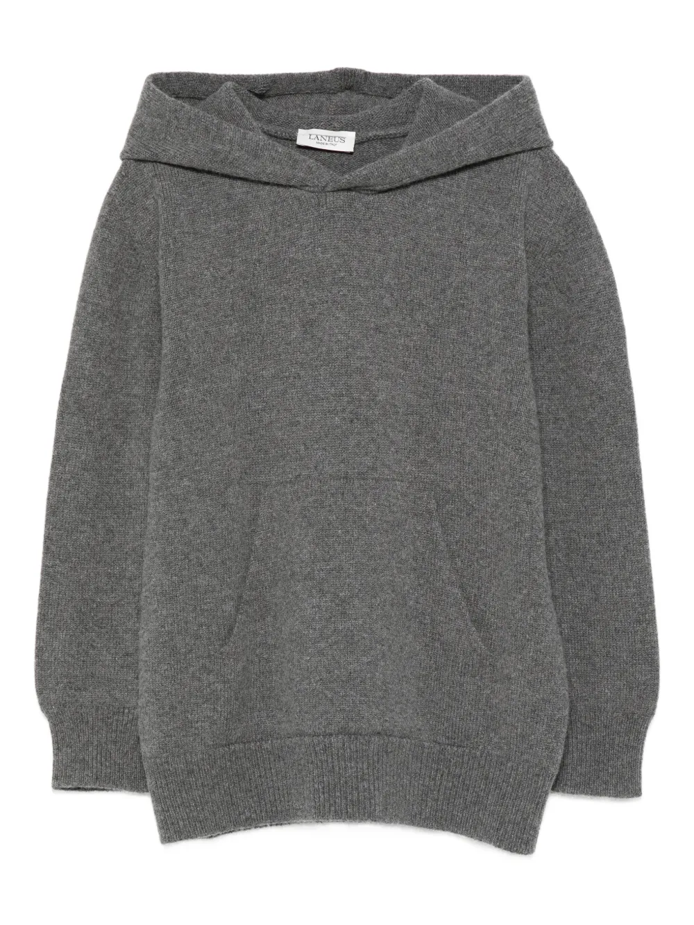 Laneus Hoodie met capuchon Grijs