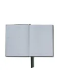 Smythson 2026 Soho Weekly diary - Green