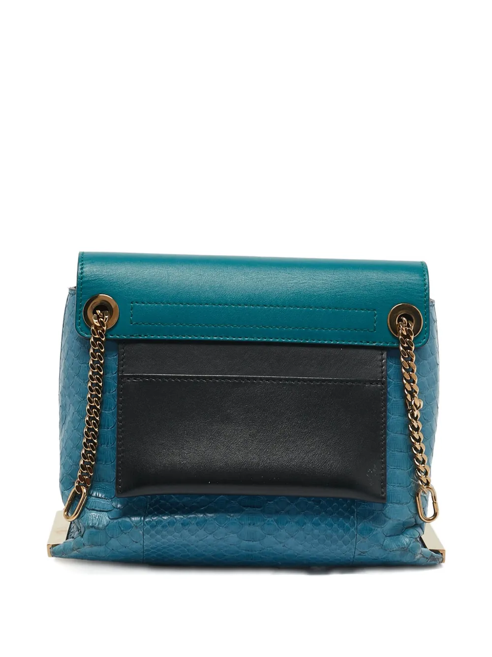 Chloé Pre-Owned python leather shoulder bag | Blue | Image 1