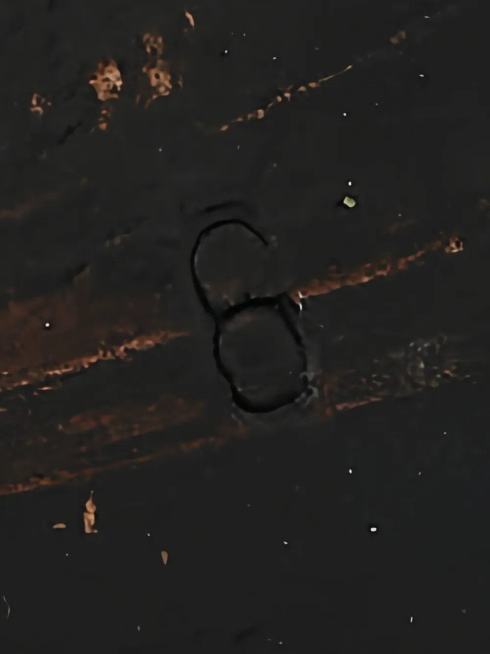 LOUIS VUITTON Pre-owned Monte Carlo Loafers In Blue