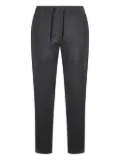 Canali drawstring-waistband trousers - Grey