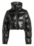 adidas cropped puffer jacket - Black