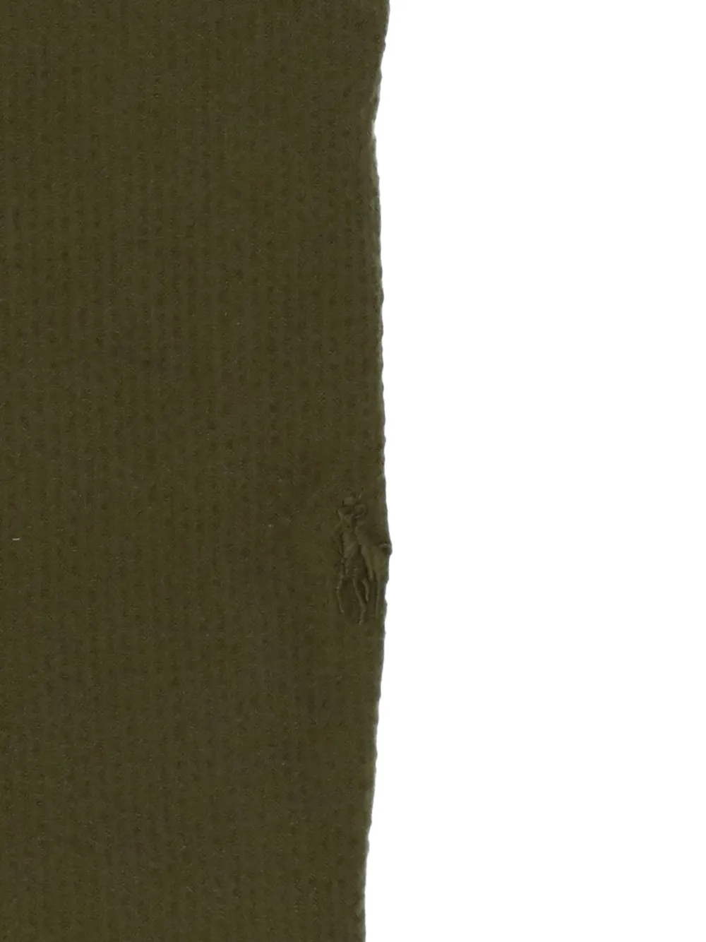 Polo Ralph Lauren Overhemd met geborduurd logo Groen
