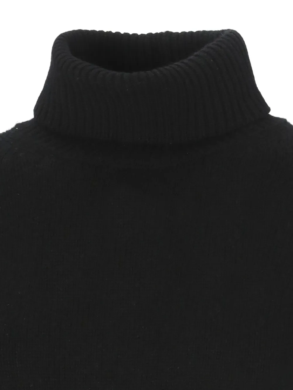 Vanisé Cashmere Turtleneck Sweater Long Sleeves In Black