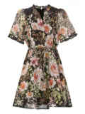 Hale Bob Haley floral-print mini dress - Black