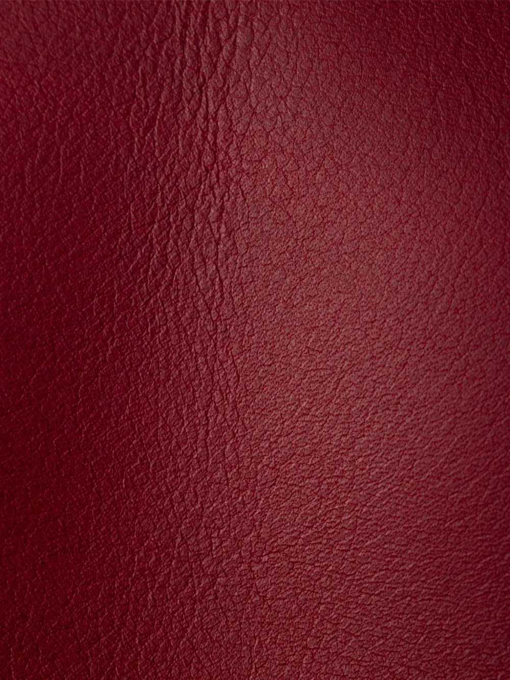 Prada Grote Etude schoudertas Rood