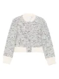 IRO speckled tweed jacket - Neutrals