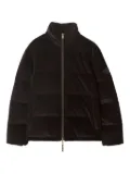 Burberry corduroy puffer jacket - Brown