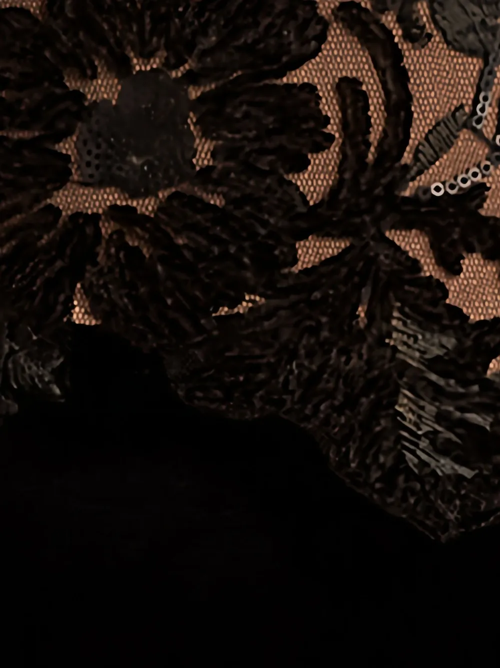 Tadashi Shoji Embroidered Bodice Long Sleeve Gown In Black