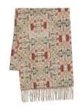 Pierre-Louis Mascia Kievnewfb fringed scarf - Neutrals