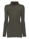 Rick Owens ribbed turtleneck sweater - Green