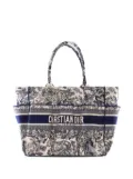 Christian Dior Pre-Owned 2020 Canvas Embroidered Toile De Jouy Catherine tote bag - Blue
