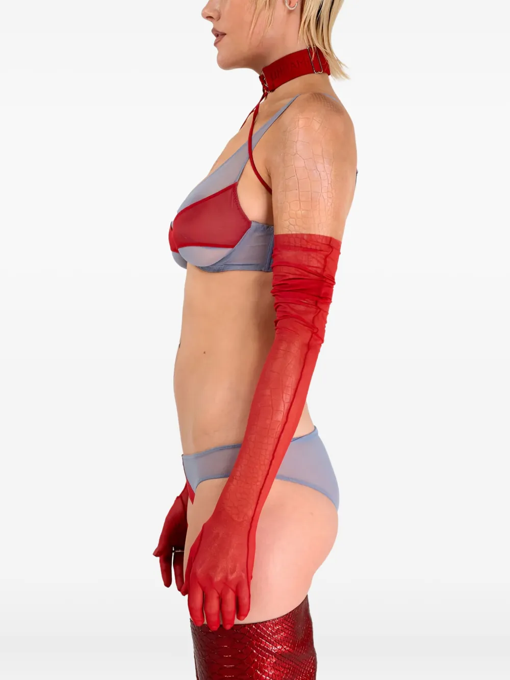 Zhilyova The Asteria Mesh-panelled Bra In Multi