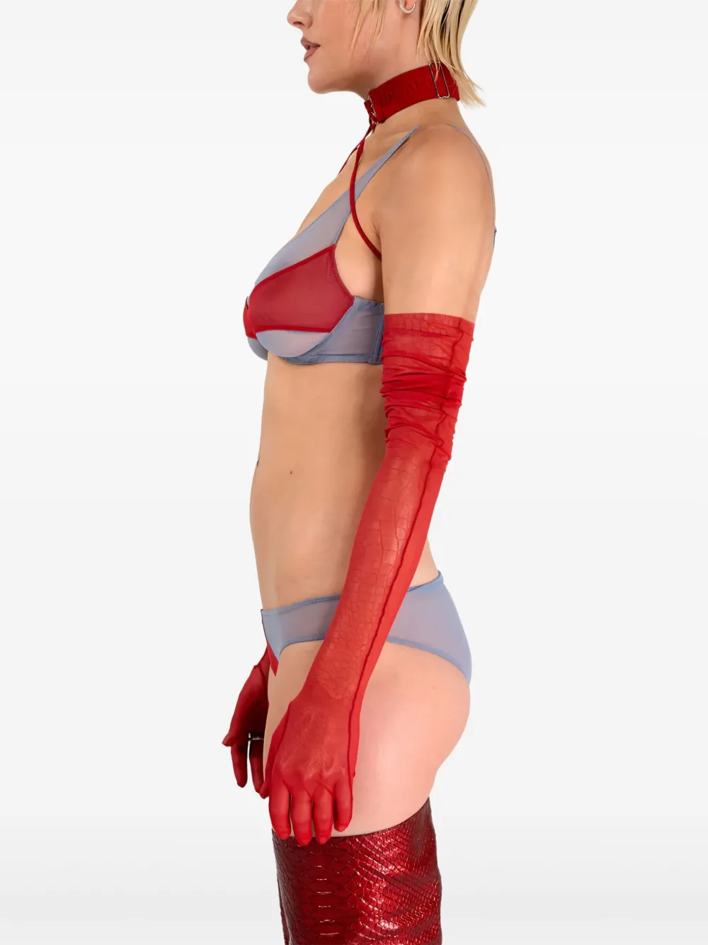 Zhilyova Asteria Mesh-panel Briefs In Multi