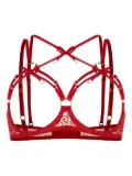 Zhilyova Aurora lace-detail ring-detail bra - Red
